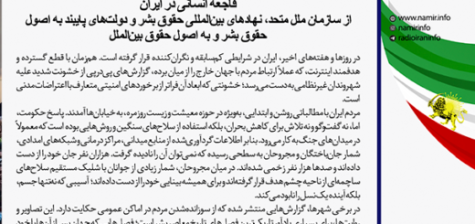 من مرغ طوفانم